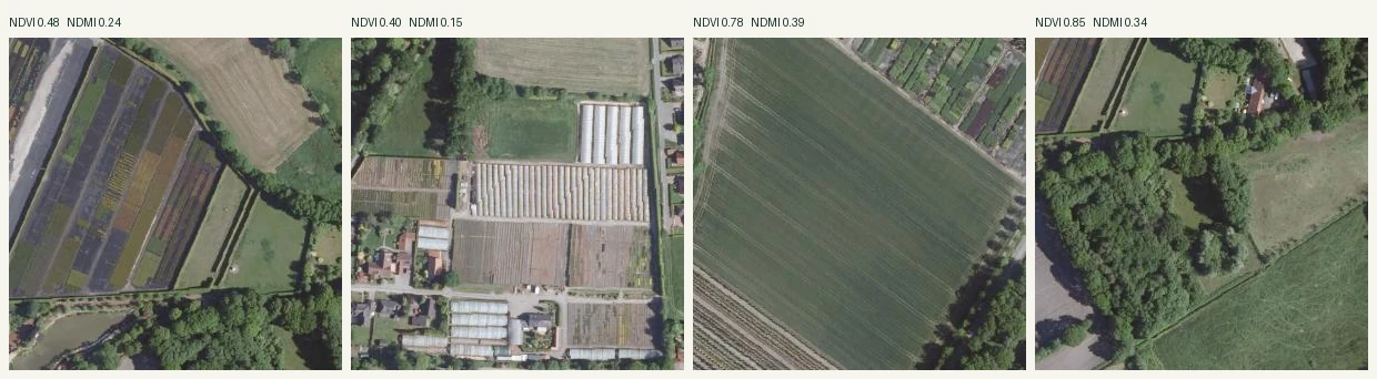 Vier Luftbildkacheln nebeneinander: links zwei Baumschulblöcke mit farbigen, streifig bepflanzten Quartieren und Folienhäusern, rechts zwei geschlossene Weiden mit Hecken